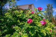 Погода на 9 мая 2019 года: что ждет белорусов 