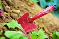 Ученые выяснили, что садоводство хорошо влияет на психическое здоровье