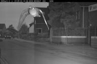 Голубю выписали штраф в 25 евро за превышение скорости