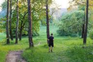 Ученые выявили взаимосвязь между зарядкой и интеллектуальными способностями