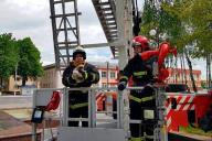 В Ветке спасатели помогли выпавшим из гнезда совятам