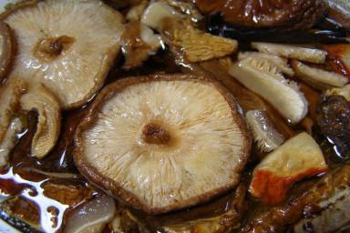Ученые обнаружили неожиданные свойства грибов шиитаке
