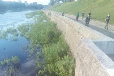 В Витебске в реку упал ребенок, спасатели пришли ему на помощь