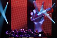 Результат финала шоу «Голос. Дети» аннулировали 