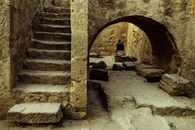 Анализ ДНК помог археологам раскрыть тайну древнего города