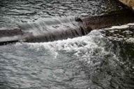  Дедушка прыгнул за сорвавшейся в реку внучкой: утонули оба