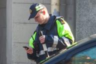 В Гомеле разыскивают водителя, который сбил косулю и скрылся