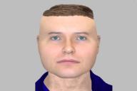 Похожий на игрушку Lego преступник рассмешил пользователей сети