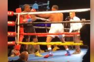 В США боксеры одновременно отправили друг друга в нокдаун