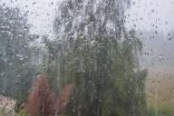 Погода на 23 мая 2019 года: пришли дожди