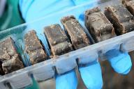  «Будьте осторожны». В Гродненском районе с воздуха разбрасывают вакцины-приманки для животных