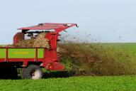 В США разрешили перерабатывать тела умерших в удобрения