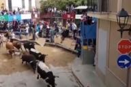 «Сбивали с ног и подбрасывали в воздух»: Разъяренные быки атаковали толпу зрителей в Испании