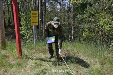 Беларусь и Украина демаркировали 41 км границы в Чернобыльской зоне