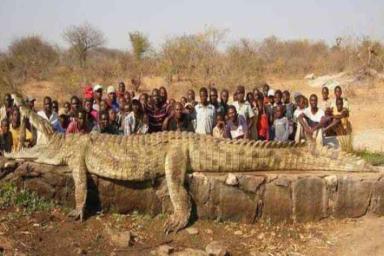 Самый большой крокодил в мире 