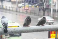 Погода в Беларуси на 29 мая 2019 года: будет дождливо