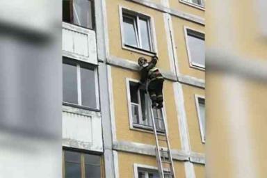 Сотрудники МЧС спасли ласточку в Минске