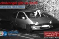 Знак свыше: голубь спас водителя от штрафа