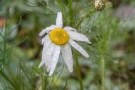 Непогода: в Беларуси объявили оранжевый уровень опасности