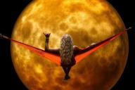 Какие черты характера свойственны различным знакам зодиака