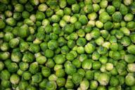 Самые опасные диеты по мнению ученых