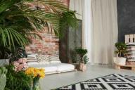 Как обновить интерьер дома с помощью растений