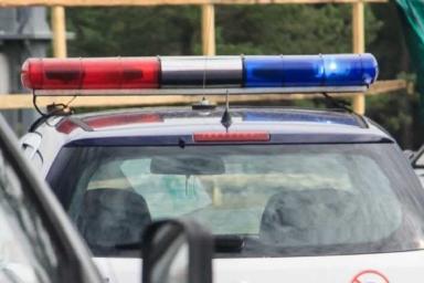 В Брестском районе ГАИ оштрафовала водителя, который вез детей под покрывалом в прицепе мотоблока