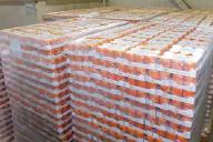 Сербский перевозчик пытался ввезти в Беларусь детское питание