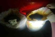 В Гродно изъяли самую крупную партию насвая за последние пять лет