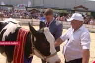 Красота – не главное. На «Белагро» выбрали лучшую корову Беларуси