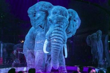 В немецком цирке вместо животных выступают голограммы: видео