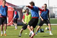 Футбол. Сборная Беларуси сразится с немцами в Борисове