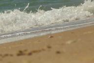 Погода в Беларуси на 11 июня 2019 года: ожидается сильная жара