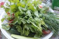 Диетологи рассказали, какой продукт продлевает молодость