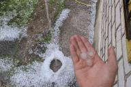 Размером со сливу. Дачи под Могилевом «обстрелял» крупный град 