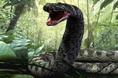 Самая большая змея из когда-либо существовавших 