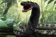 Самая большая змея из когда-либо существовавших 