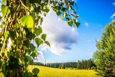 Погода в Беларуси на 12 июня 2019 года: жара усиливается