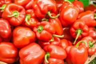 В Минске проведут ярмарку экологически чистых продуктов