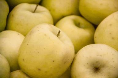 Россельхознадзор не дремлет: белорус спрятал яблоки под мешками с картошкой