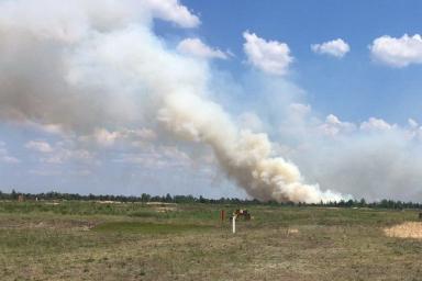 Масштабный лесной пожар под Гродно потушен