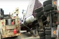 В США перевернулась фура с 133 миллионами пчел