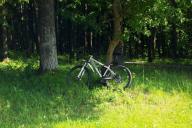 Уже 72. Где еще нельзя ходить в лес в Беларуси