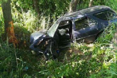В Дрогичинском районе Peugeot врезался в дерево: пострадала водитель и 13-летняя пассажирка