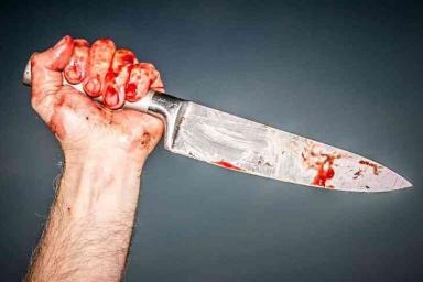 72 ножевых ранения: мужчина изнасиловал и убил подростка и ее мать