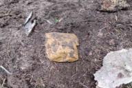 Работал «закладчиком» месяц: В Минском районе задержали парня со 100 таблетками MDMA