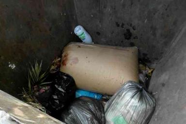 В Волковыске обнаружили останки оленя в мусорном контейнере