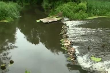 Мертвая река в Лидском районе: вода почернела, а рыба погибла