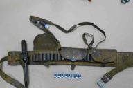 Убийцы копытных. На Брестчине будут судить 5 браконьеров