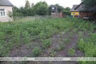 В Слониме мужчина больной шизофренией избил пенсионерку тяпкой, пока она полола картошку